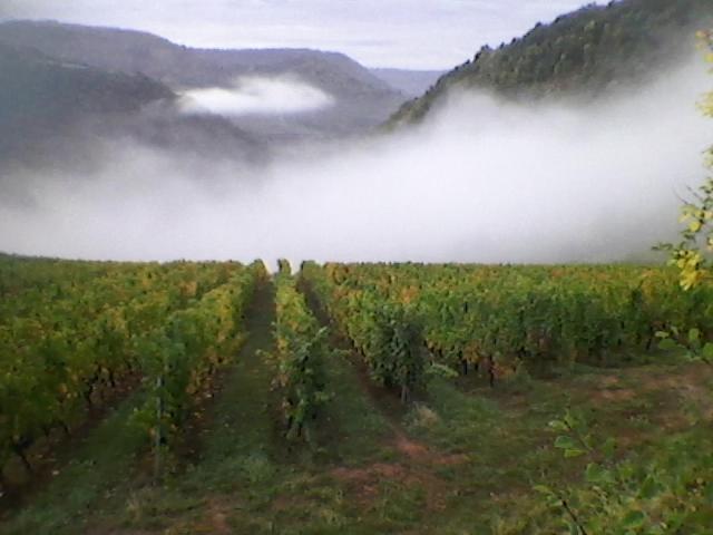 Maison Isolee Dans Les Vignes Et Les Bois Valady Exteriér fotografie