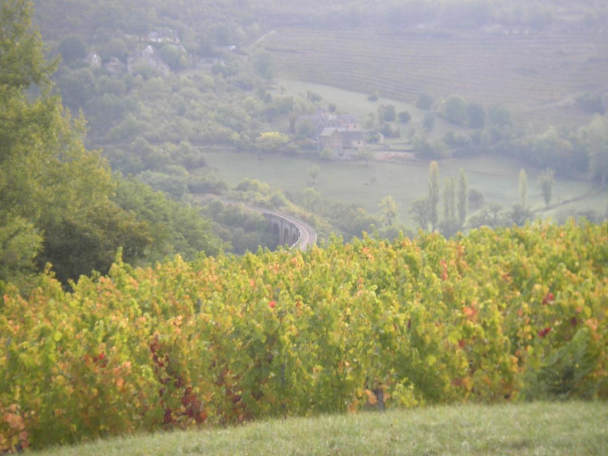 Maison Isolee Dans Les Vignes Et Les Bois Valady Exteriér fotografie